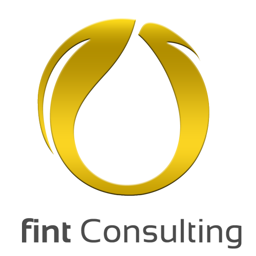 fint Consulting